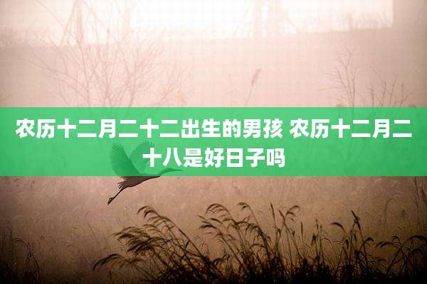 农历十二月二十二出生的男孩 农历十二月二十八是好日子吗