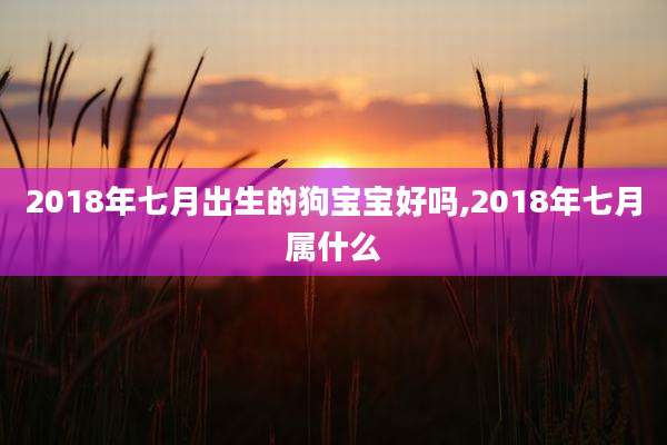 2018年七月出生的狗宝宝好吗,2018年七月属什么