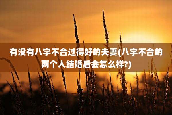 有没有八字不合过得好的夫妻(八字不合的两个人结婚后会怎么样?)