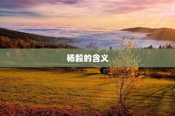 杨毅的含义
