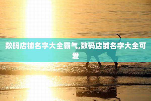 数码店铺名字大全霸气,数码店铺名字大全可爱