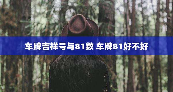 车牌吉祥号与81数 车牌81好不好