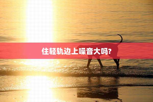 住轻轨边上噪音大吗?