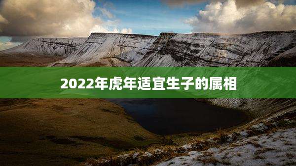 2022年虎年适宜生子的属相