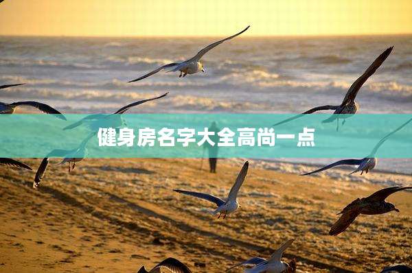 健身房名字大全高尚一点