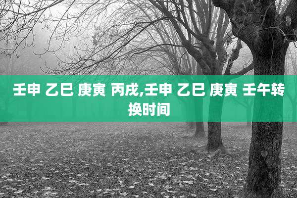 壬申 乙巳 庚寅 丙戌,壬申 乙巳 庚寅 壬午转换时间