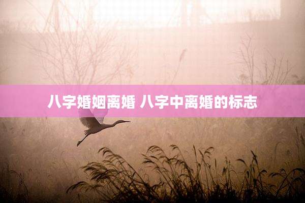 八字婚姻离婚 八字中离婚的标志