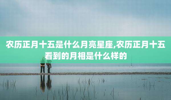 农历正月十五是什么月亮星座,农历正月十五看到的月相是什么样的