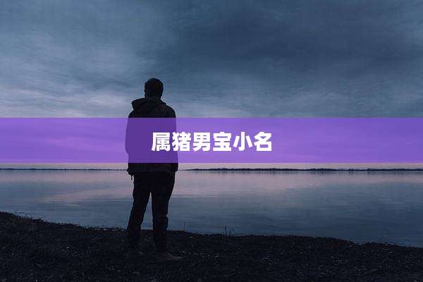 属猪男宝小名