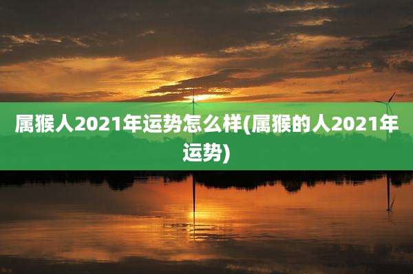 属猴人2021年运势怎么样(属猴的人2021年运势)