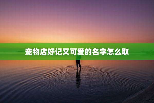 宠物店好记又可爱的名字怎么取