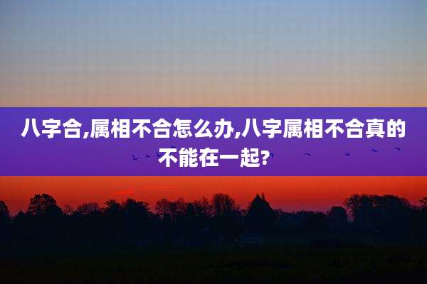 八字合,属相不合怎么办,八字属相不合真的不能在一起?
