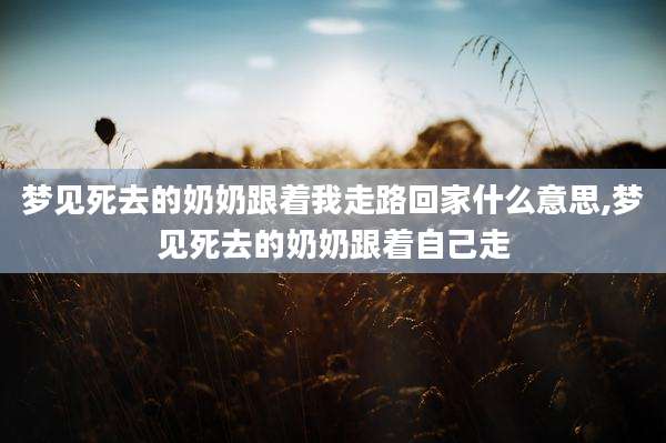 梦见死去的奶奶跟着我走路回家什么意思,梦见死去的奶奶跟着自己走