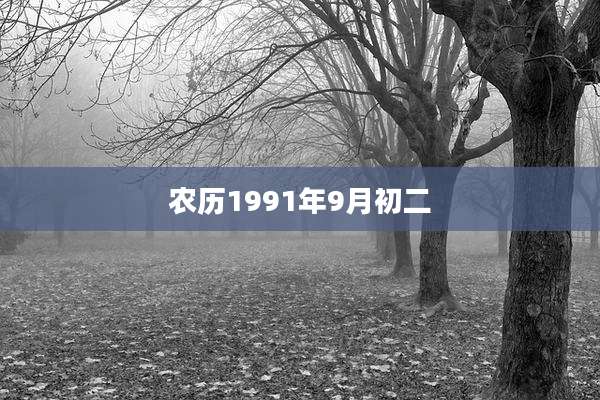 农历1991年9月初二