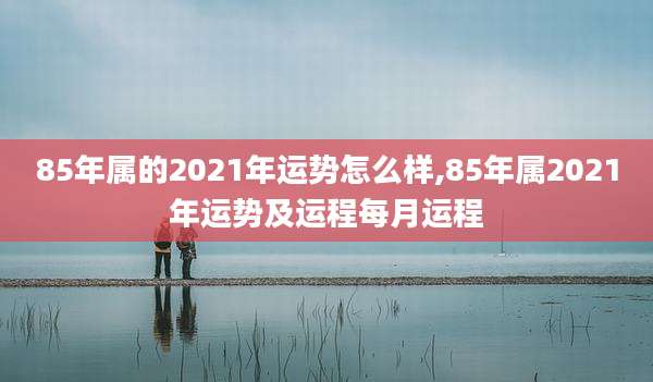 85年属的2021年运势怎么样,85年属2021年运势及运程每月运程