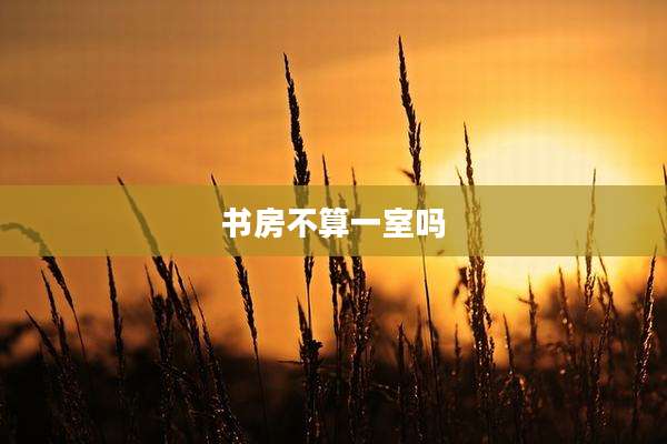 书房不算一室吗