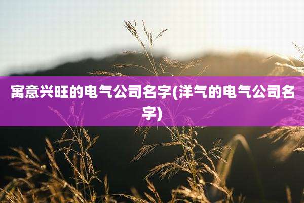 寓意兴旺的电气公司名字(洋气的电气公司名字)