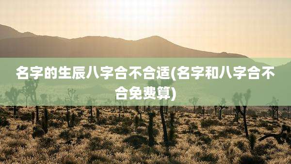 名字的生辰八字合不合适(名字和八字合不合免费算)