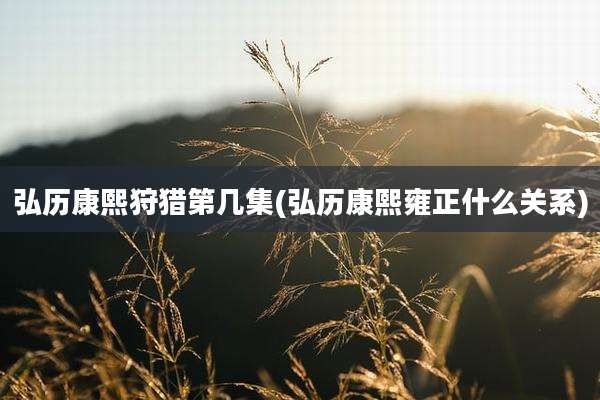 弘历康熙狩猎第几集(弘历康熙雍正什么关系)