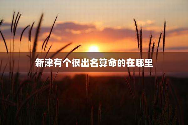 新津有个很出名算命的在哪里