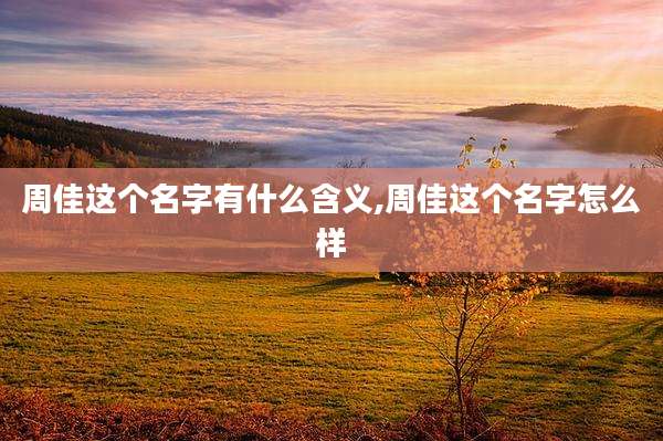 周佳这个名字有什么含义,周佳这个名字怎么样