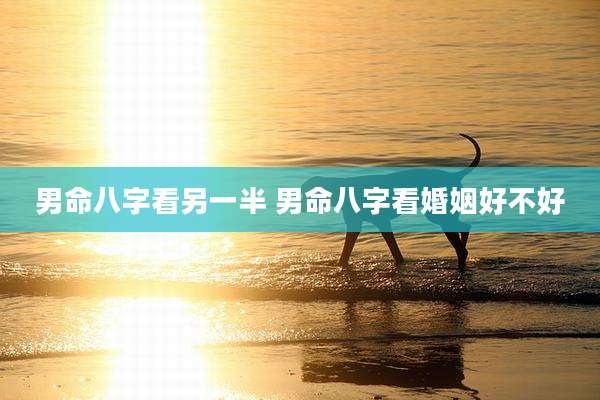 男命八字看另一半 男命八字看婚姻好不好