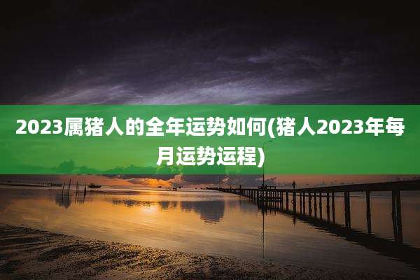 2023属猪人的全年运势如何(猪人2023年每月运势运程)