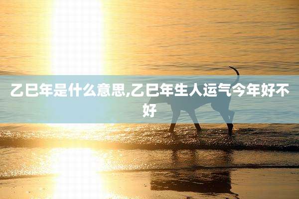 乙巳年是什么意思,乙巳年生人运气今年好不好