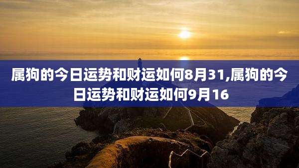 属狗的今日运势和财运如何8月31,属狗的今日运势和财运如何9月16