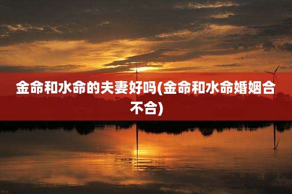 金命和水命的夫妻好吗(金命和水命婚姻合不合)