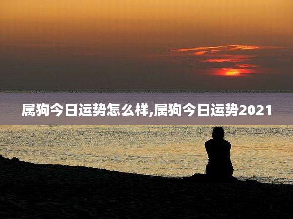 属狗今日运势怎么样,属狗今日运势2021
