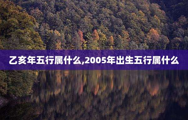 乙亥年五行属什么,2005年出生五行属什么