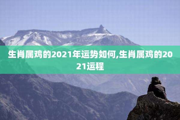 生肖属鸡的2021年运势如何,生肖属鸡的2021运程