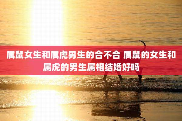 属鼠女生和属虎男生的合不合 属鼠的女生和属虎的男生属相结婚好吗
