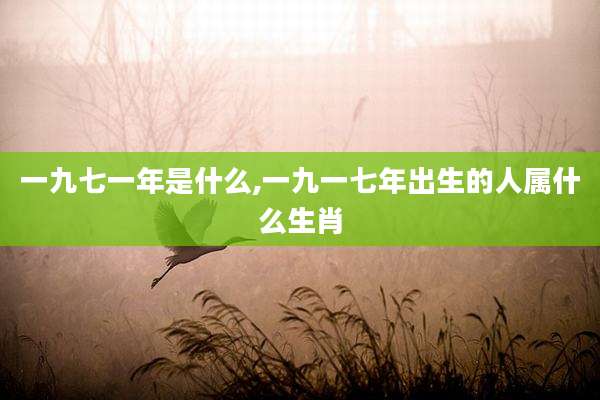一九七一年是什么,一九一七年出生的人属什么生肖