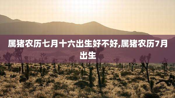 属猪农历七月十六出生好不好,属猪农历7月出生