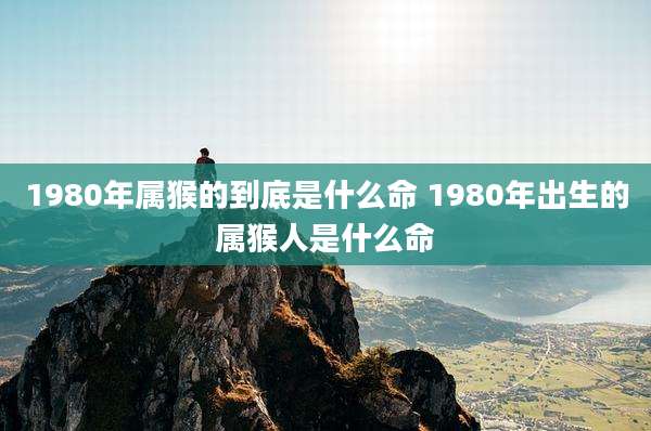 1980年属猴的到底是什么命 1980年出生的属猴人是什么命
