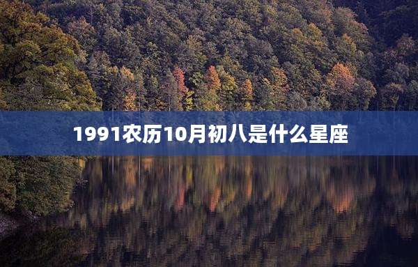 1991农历10月初八是什么星座
