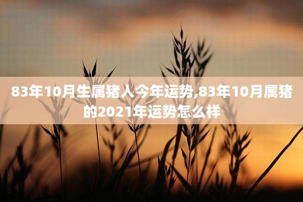 83年10月生属猪人今年运势,83年10月属猪的2021年运势怎么样