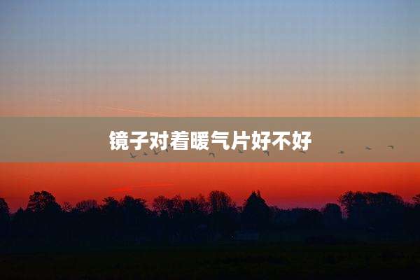 镜子对着暖气片好不好