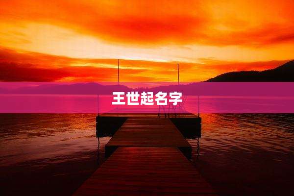 王世起名字