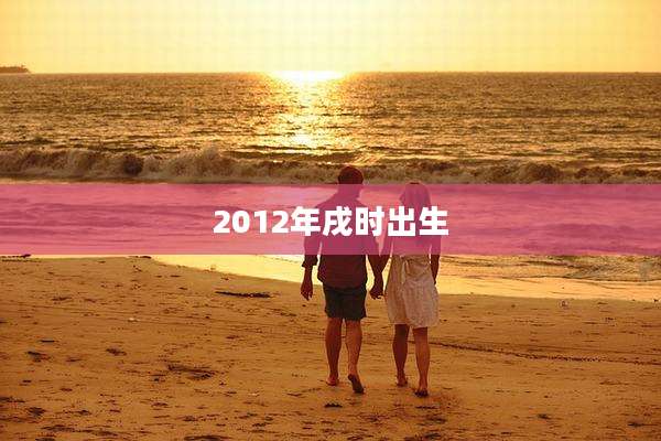 2012年戌时出生
