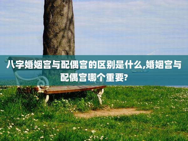 八字婚姻宫与配偶宫的区别是什么,婚姻宫与配偶宫哪个重要?