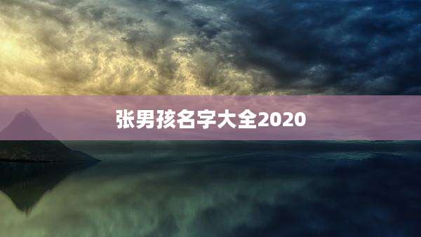 张男孩名字大全2020