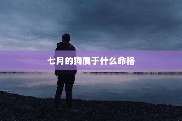 七月的狗属于什么命格
