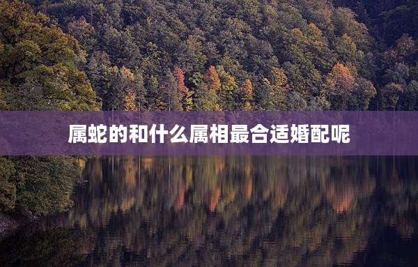 属蛇的和什么属相最合适婚配呢