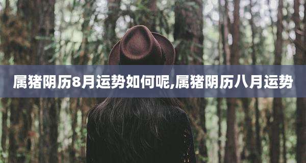 属猪阴历8月运势如何呢,属猪阴历八月运势