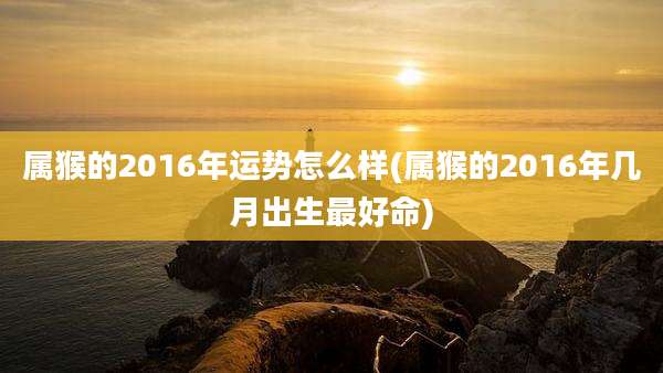 属猴的2016年运势怎么样(属猴的2016年几月出生最好命)
