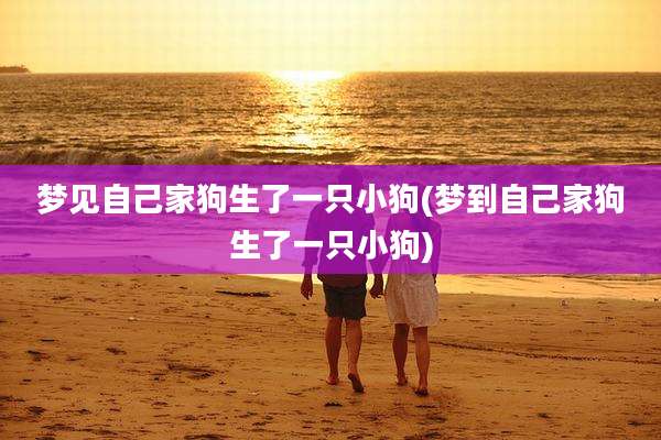 梦见自己家狗生了一只小狗(梦到自己家狗生了一只小狗)