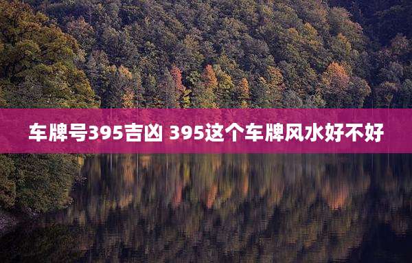 车牌号395吉凶 395这个车牌风水好不好